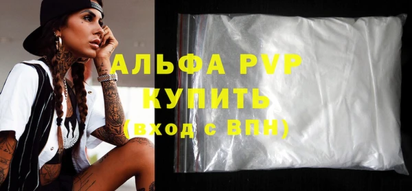 крисы Белокуриха