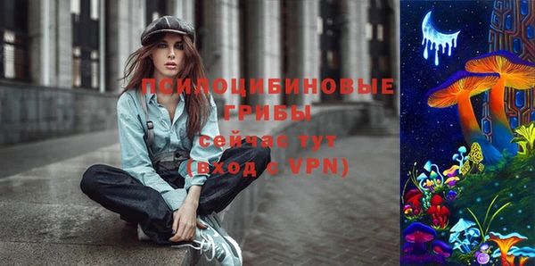 крисы Белокуриха