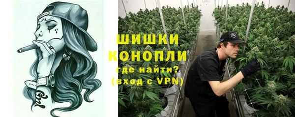 крисы Белокуриха
