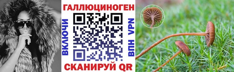 Галлюциногенные грибы GOLDEN TEACHER  darknet состав  Комсомольск-на-Амуре 